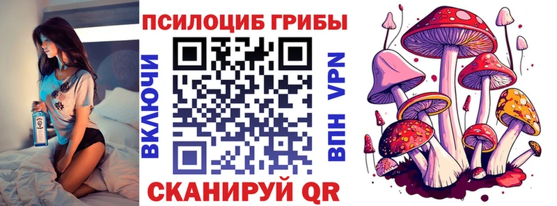 Купить  Медногорск  Галлюциногенные грибы Cubensis 
